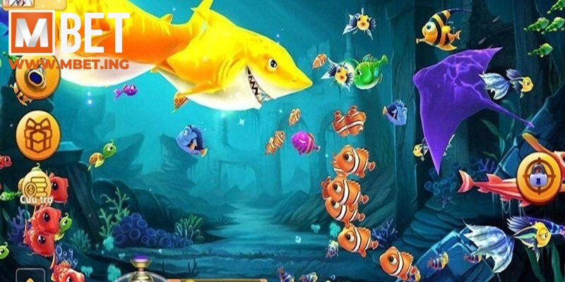 Mega Fishing với lối chơi đơn giản chờ bạn khám phá