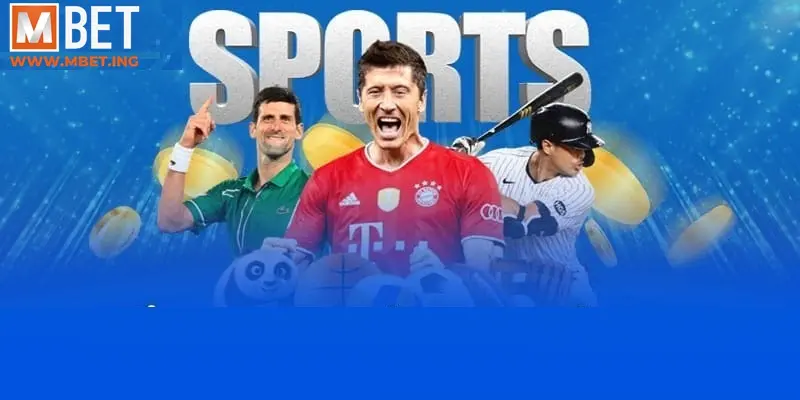 Phân tích kỹ sảnh cược trước khi lựa chọn