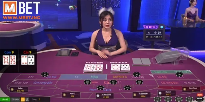 Sảnh cược châu Âu - Không gian đẳng cấp quốc tế