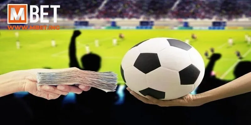 Sảnh thể thao với đa dạng các loại kèo cược